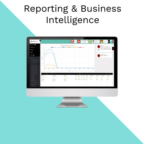Reporting and Business Intelligence